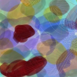 Sophia zhang - The image for Logic tension