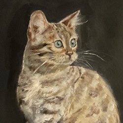 Sophia zhang - The image for Max