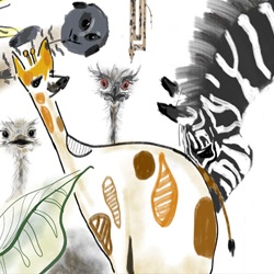Sophia zhang - I love summer & animals